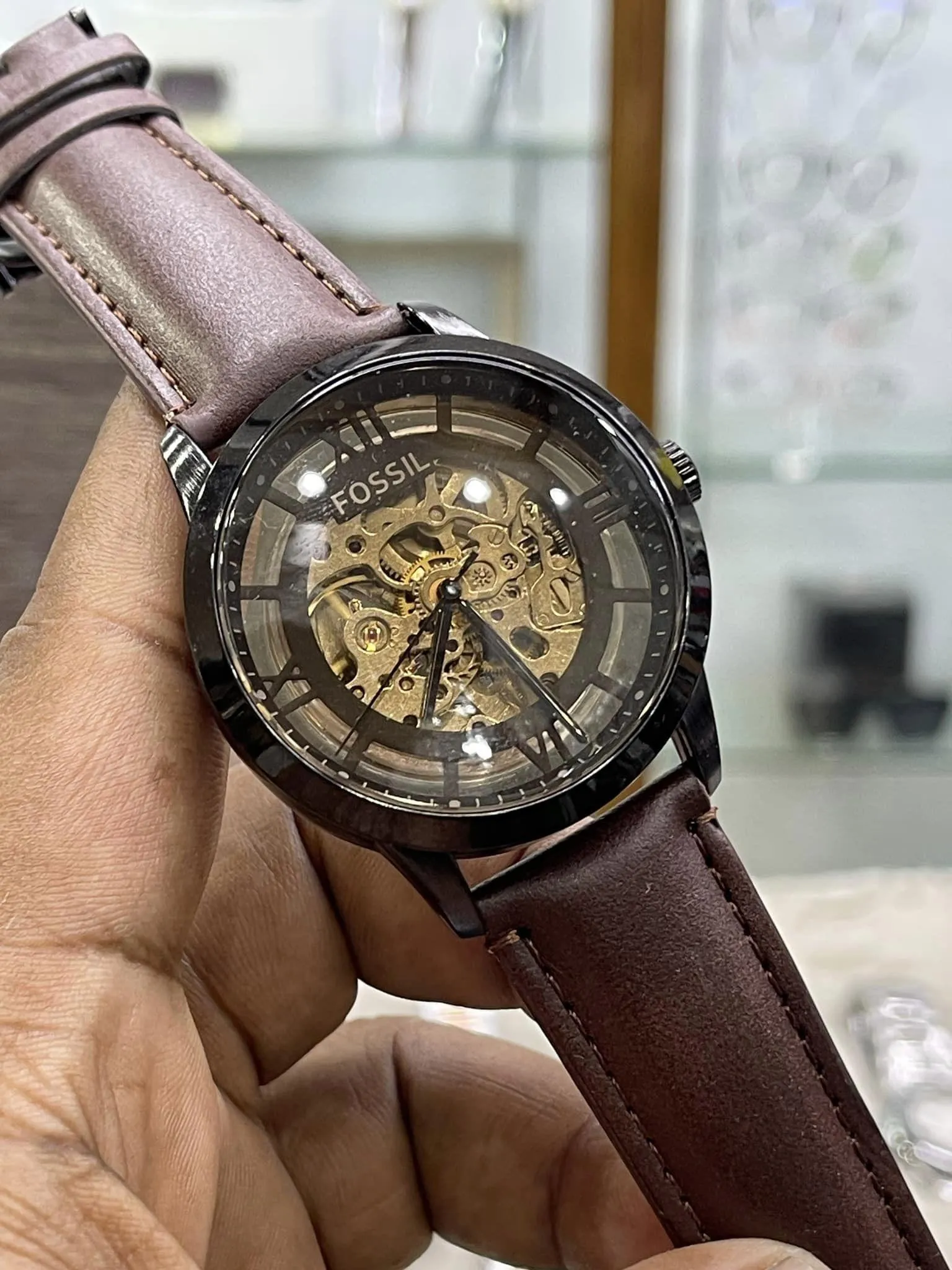 fossil-skeleton-auto-aa